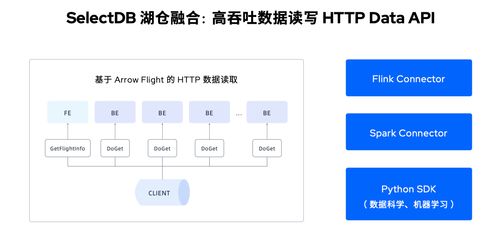 定義現代化實時數據倉庫 SelectDB全新產品形態全面發布，引領信息系統集成服務革新